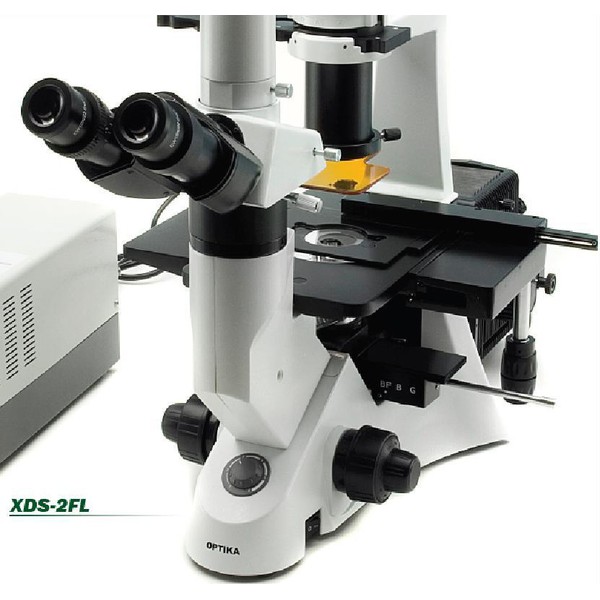 Optika XDS-2FL, Microscop inversat trinocular cu lumină fluorescentă