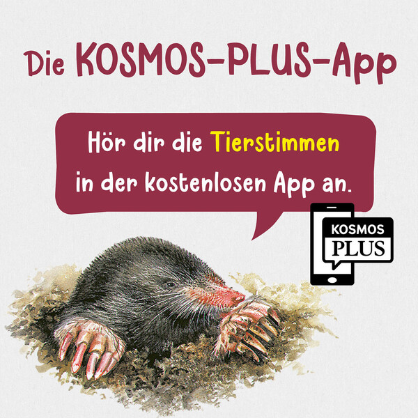 Kosmos Verlag Was lebt im Garten?