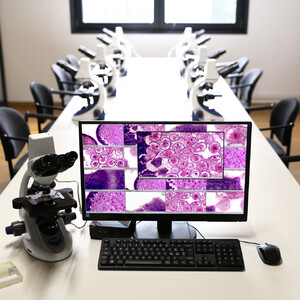 Optika Microscop Pachet OWL (-WI-LEARN) 1 stație pentru profesor + 24 stații pentru elevi