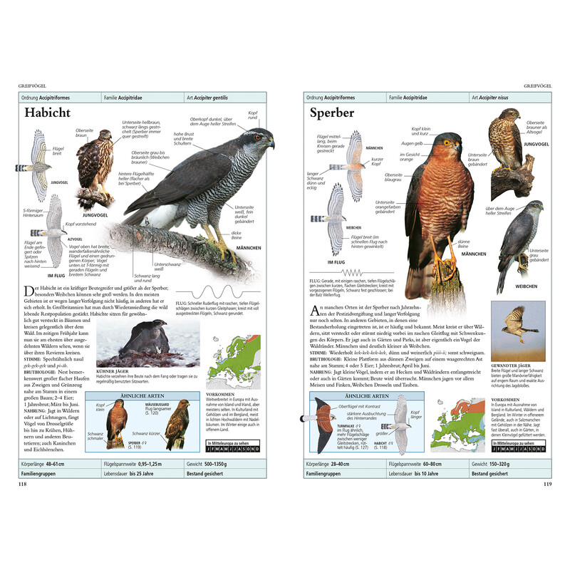 Dorling Kindersley Vögel in Europa