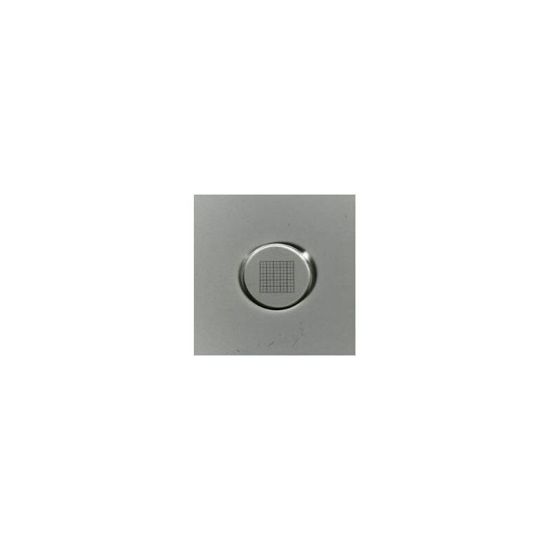 ZEISS Micrometru de plasă 10x10/5:10, d=21 mm